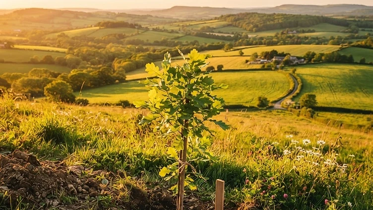 A NEW GREEN HORIZON: HALF A MILLION TREES TO BOLSTER ENGLAND’S LANDSCAPES