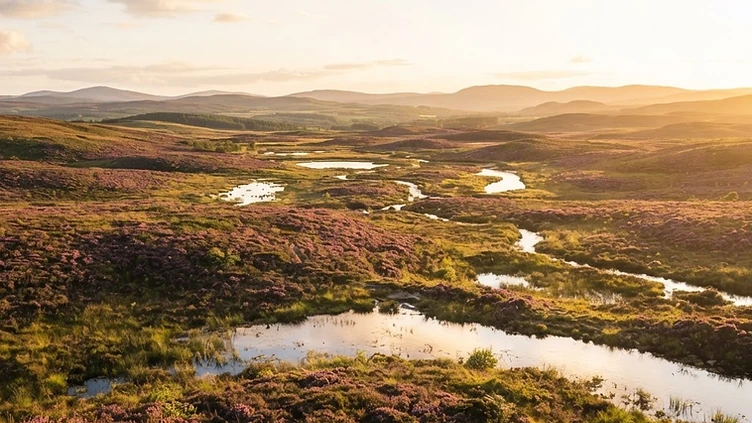 NORTHUMBERLAND’S WILD REBIRTH: ENGLAND’S LARGEST PRIVATE REWILDING PROJECT LAUNCHED
