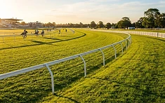 Cheltenham jumps into action after fixing its troublesome hole