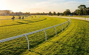 Cheltenham jumps into action after fixing its troublesome hole