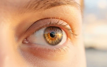 NEW HOPE FOR SIGHT: GENE THERAPY BREAKTHROUGH RESTORES VISION
