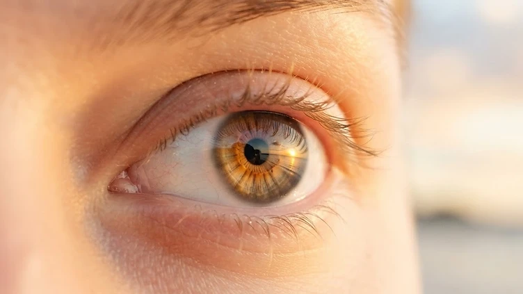 NEW HOPE FOR SIGHT: GENE THERAPY BREAKTHROUGH RESTORES VISION