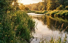 Seeing the River Through Wildlife’s Eyes: A New Path for Conservation