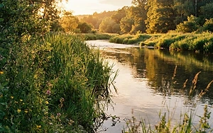 Seeing the River Through Wildlife’s Eyes: A New Path for Conservation