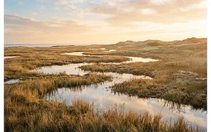 Skylarks and sandwich terns among new birdies on reserve created from ‘boring old golf course’