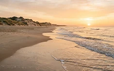 COASTAL BIODIVERSITY PROTECTED AS MECHANICAL CLEANING PLAN HALTED