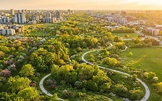 A "Nature Ring" for London: Ambitious Green Corridor Takes Root