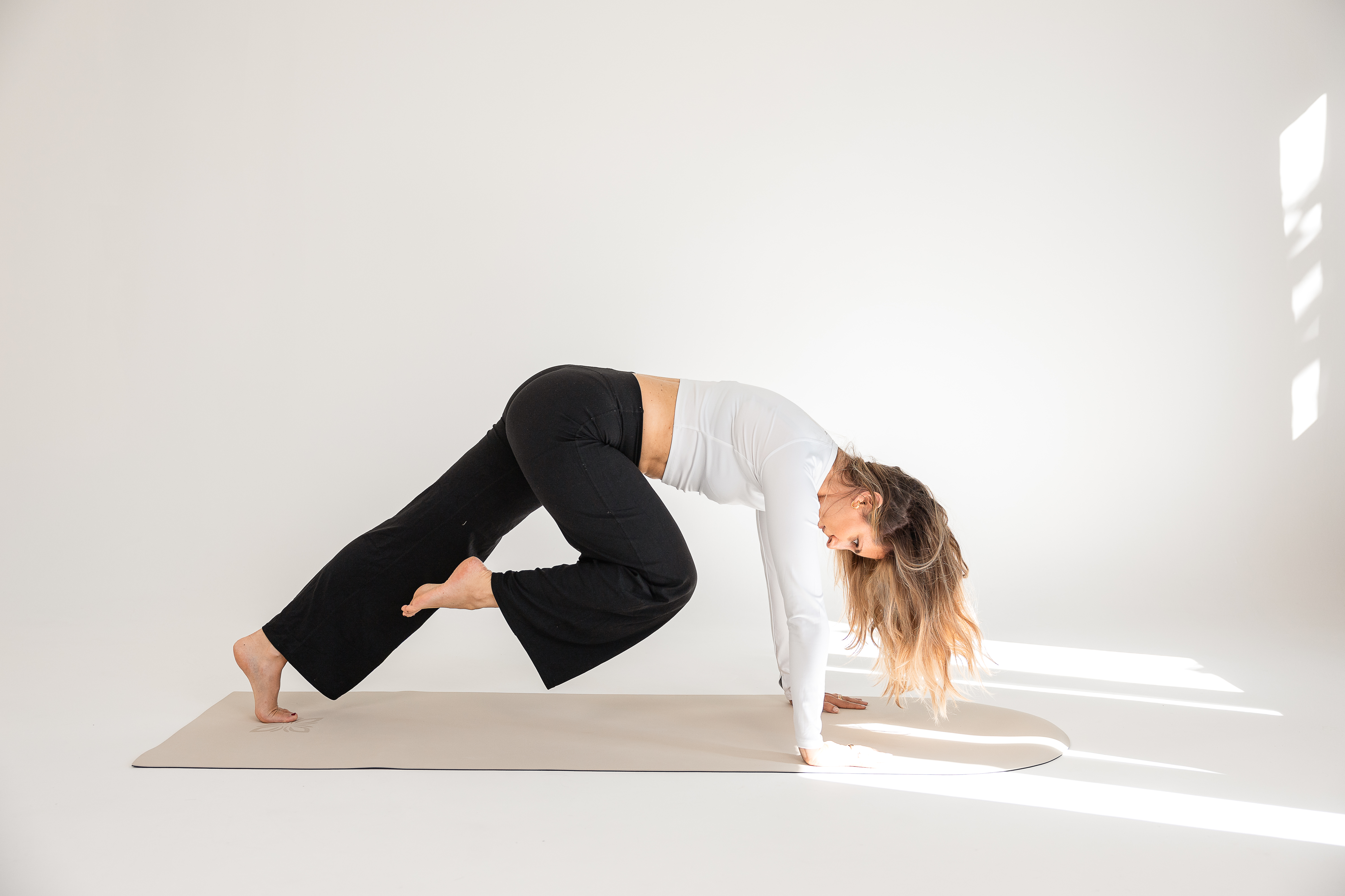 Minou in einer Plank-Variation auf der Yogamatte im hellen Studio