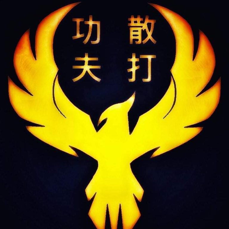 Phoenix Freestyle Martial Arts