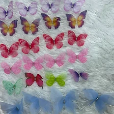 Crystal Butterfly Applique Set