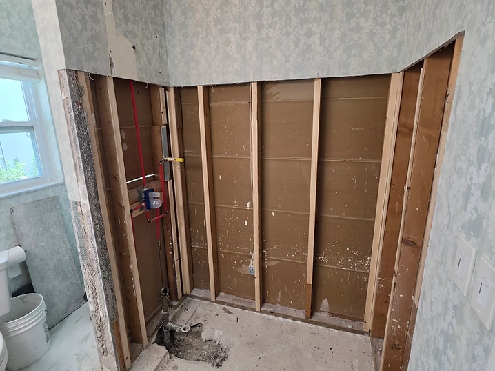 Gutted shower enclosure exposed to wall studs and subfloor during demolition