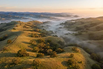 Weekend Guide to Danville