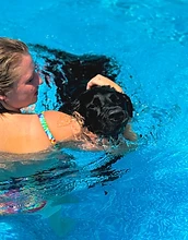 Chloe holding a black Lab in the pool