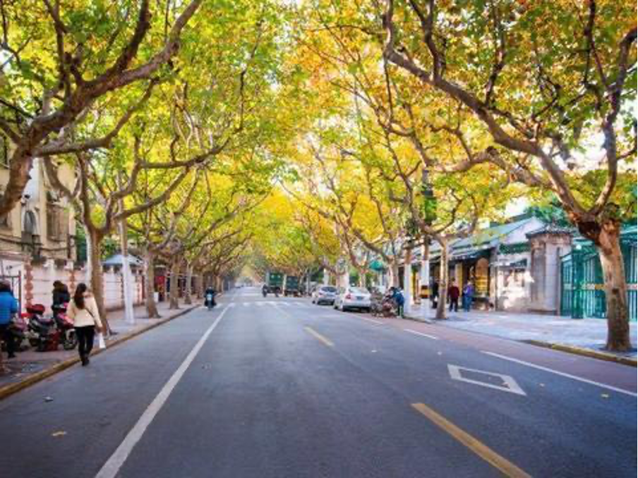 Jiaotong University: Students, Small Cozy Restaurants, and Tree-lined Streets