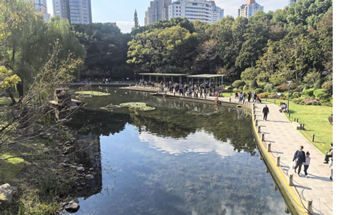 Xujiahui Park — a viewing pavilion over the pond