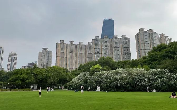 Zhongshan Park — manicured lawns, flowering bushes and the city skyline beyond