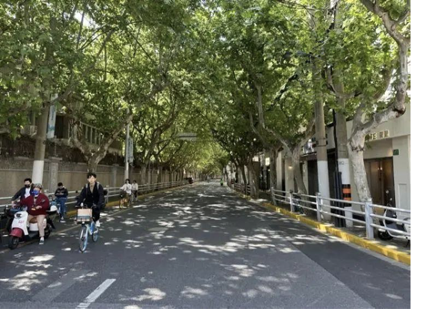 North Shaanxi Road: Jing'an's Easygoing Food, Drink and Local Life Corridor