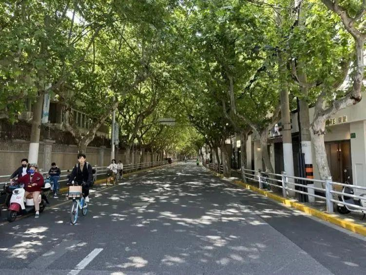 North Shaanxi Road: Jing'an's Easygoing Food, Drink and Local Life Corridor