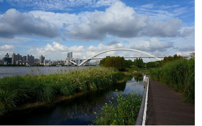 Houtan Park — a white arch bridge over the wetlands