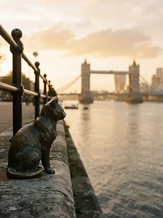 Dr Salter's Cat bronze statue on the Rotherhithe riverside
