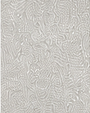 Frozen Silver finish