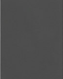 Light Steel finish