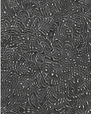 Graphite finish