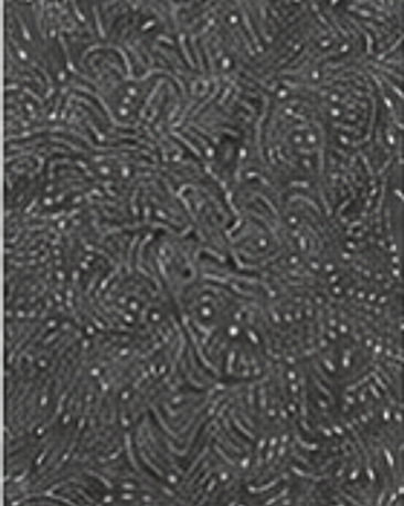 Graphite finish