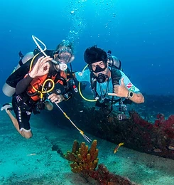 Galeria Jedivers