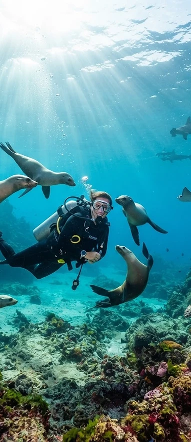 Ilhas Galápagos