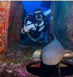 Galeria Jedivers
