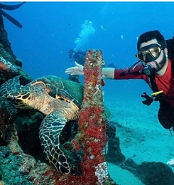 Galeria Jedivers