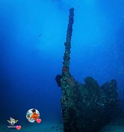 Galeria Jedivers