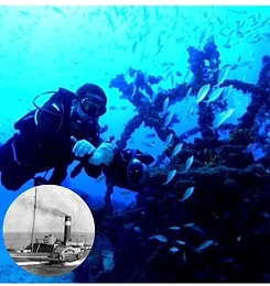 Galeria Jedivers