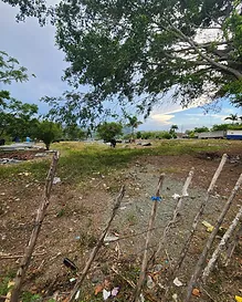 El Cupey 50-acre land for sale, Dominican Republic