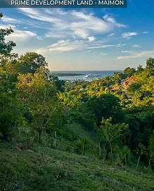 Elevated hillside view over lush tropical greenery toward the Amber Cove cruise terminal and the ocean in Maimón, Puerto Plata