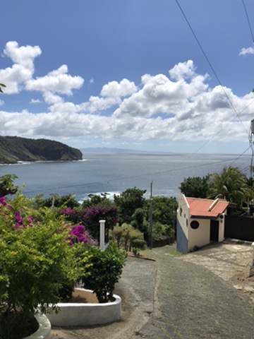 Vista costera desde proyecto de JIRMAR con vegetación y mar al fondo