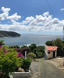 Vista costera desde proyecto de JIRMAR con vegetación y mar al fondo