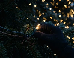 Season-Long Care detail