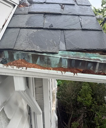 Corroded, debris-packed gutter separating from the roof edge — a failing system that needs repair or replacement