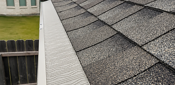Micro-mesh gutter guard installed along a shingle roofline, keeping debris out while the gutter underneath stays clear