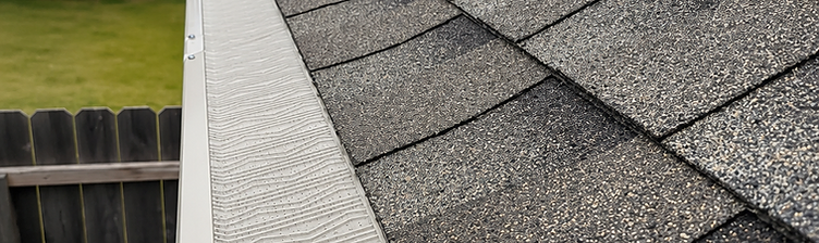 Micro-mesh gutter guard installed along a shingle roofline, keeping debris out while the gutter underneath stays clear