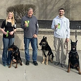 Three handlers standing with two Dobermans and a German Shepherd after a working dog event, holding ribbons.