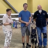 Trainer standing with a German Shepherd alongside two award recipients holding ribbons at an indoor show.