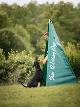 A Doberman focused during bite work