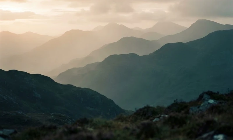 Misty alpine landscape at dawn — the journey begins with a single conversation