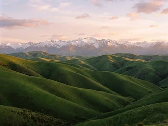 The Green List Decoded: NZ's Fastest Pathways to Residence
