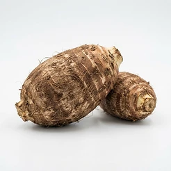 Malanga
