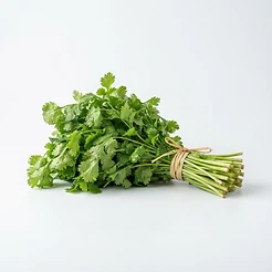Cilantro Ancho 1 manojo