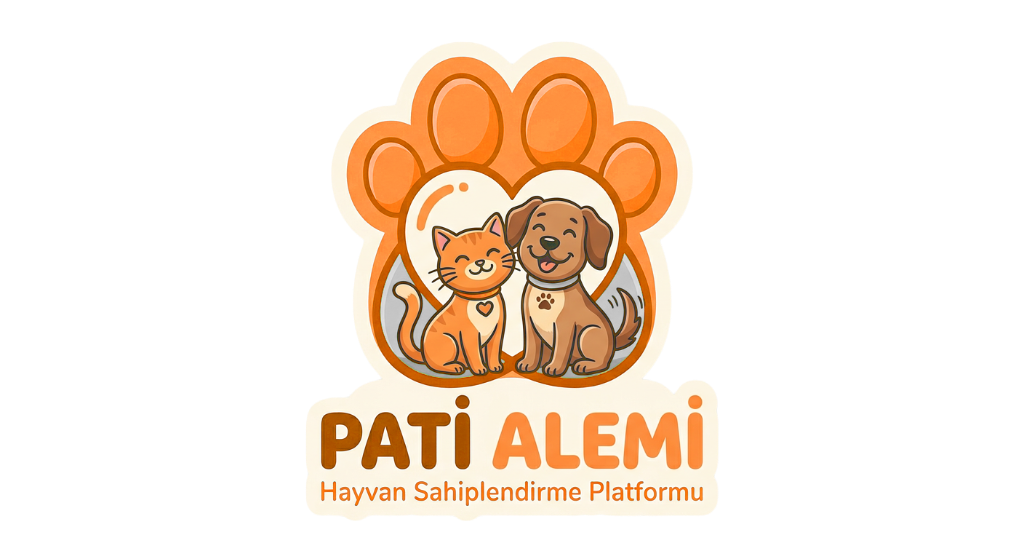 Sahiplenmeyi bekleyen sevimli kedi